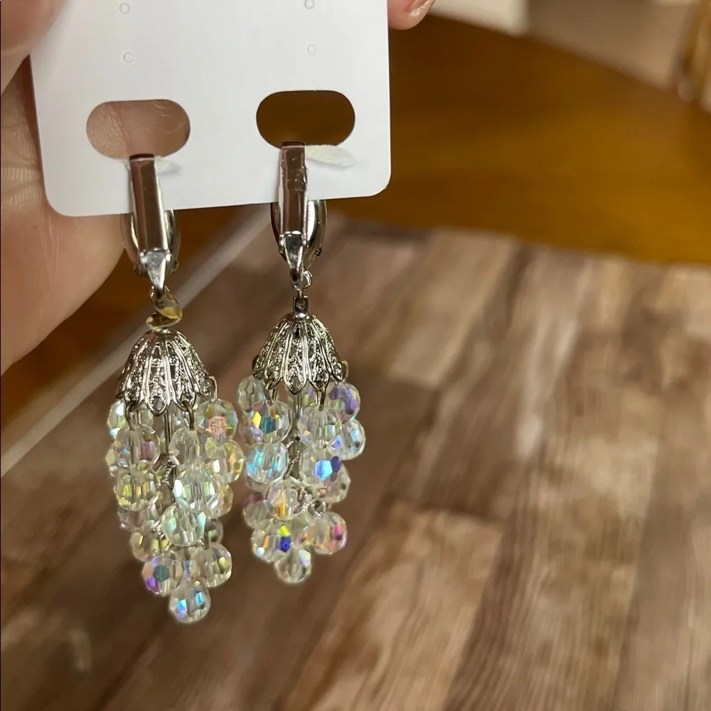 Iridescent Dangle Earrings